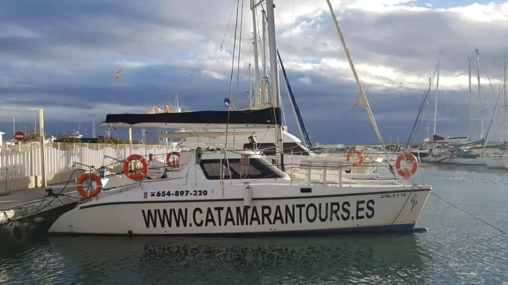 How Much Does It Cost To Charter a Catamaran? UPDATED PRICES